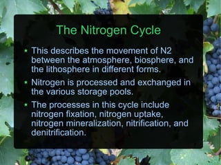 The Nitrogen Cycle This describes the movement of N2 between the atmosphere, biosphere, and the lithosphere in different forms. Nitrogen is processed and exchanged in the various storage pools. The processes in this cycle include nitrogen fixation, nitrogen uptake, nitrogen mineralization, nitrification, and denitrification. 