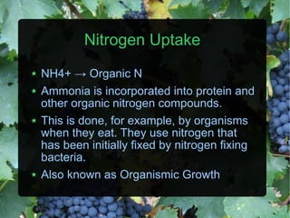 Nitrogen Uptake NH4+  ->  Organic N Ammonia is incorporated into protein and other organic nitrogen compounds. This is done, for example, by organisms when they eat. They use nitrogen that has been initially fixed by nitrogen fixing bacteria. Also known as Organismic Growth 