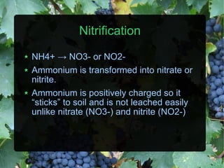 Nitrification NH4+  ->  NO3- or NO2- Ammonium is transformed into nitrate or nitrite. Ammonium is positively charged so it “sticks” to soil and is not leached easily unlike nitrate (NO3-) and nitrite (NO2-) 