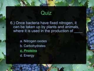 Nitrogen cycle ppt