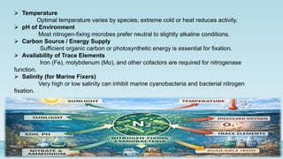 Nitrogen Cycle and Its Role in Ecosystem Function | PDF