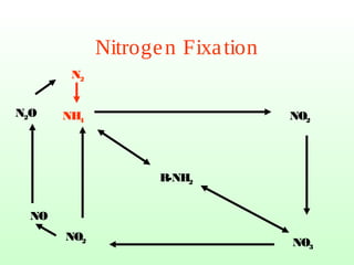 Nitrogen Fixation
R-NH2
NH4 NO2
NO3
NO2
NO
N2O
N2
 