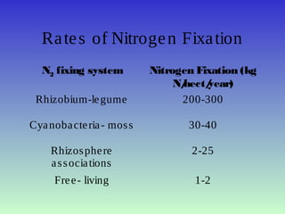 Rates of Nitrogen Fixation
N2 fixing system Nitrogen Fixation (kg
N/hect/year)
Rhizobium-legume 200-300
Cyanobacteria- moss 30-40
Rhizosphere
associations
2-25
Free- living 1-2
 