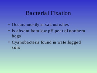 Bacterial Fixation
• Occurs mostly in salt marshes
• Is absent from low pH peat of northern
bogs
• Cyanobacteria found in waterlogged
soils
 