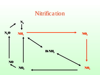 Nitrification
R-NH2
NH4 NO2
NO3NO2
NO
N2O
N2
 