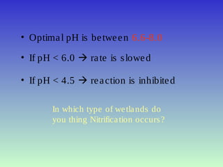 • Optimal pH is between 6.6-8.0
• If pH < 6.0  rate is slowed
• If pH < 4.5  reaction is inhibited
In which type of wetlands do
you thing Nitrification occurs?
 