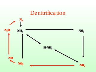 Denitrification
R-NH2
NH4 NO2
NO3
NO2
NO
N2O
N2
 