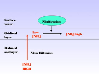Surface
water
Oxidized
layer
Reduced
soil layer
[NH4]
HIGH
Low
[NH4]
Slow Diffusion
Nitrification
[NO3] high
 