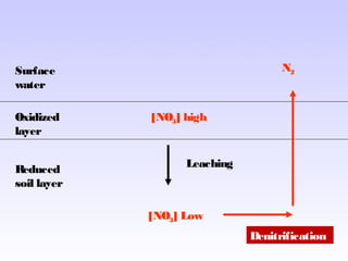Surface
water
Oxidized
layer
Reduced
soil layer
[NO3] high
Leaching
[NO3] Low
N2
Denitrification
 