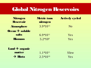Global Nitrogen Reservoirs
Nitrogen
Reservoir
Metric tons
nitrogen
Actively cycled
Atmosphere 3.9*1015
No
Ocean  soluble
salts
Biomass
6.9*1011
5.2*108
Yes
Yes
Land  organic
matter
 Biota
1.1*1011
2.5*1010
Slow
Yes
 