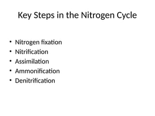 Key Steps in the Nitrogen Cycle
• Nitrogen fixation
• Nitrification
• Assimilation
• Ammonification
• Denitrification
 