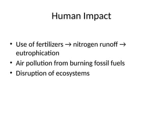 Human Impact
• Use of fertilizers → nitrogen runoff →
eutrophication
• Air pollution from burning fossil fuels
• Disruption of ecosystems
 