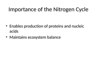 Importance of the Nitrogen Cycle
• Enables production of proteins and nucleic
acids
• Maintains ecosystem balance
 