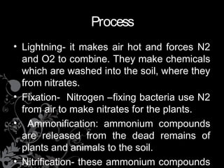 Process
• Lightning- it makes air hot and forces N2
and O2 to combine. They make chemicals
which are washed into the soil, where they
from nitrates.
• Fixation- Nitrogen –fixing bacteria use N2
from air to make nitrates for the plants.
• Ammonification: ammonium compounds
are released from the dead remains of
plants and animals to the soil.
• Nitrification- these ammonium compounds
 