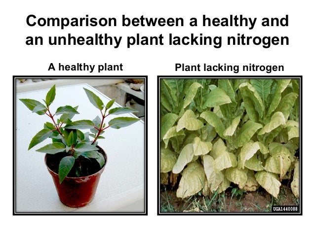 nitrogen fertilizers nitrogen fertilizers