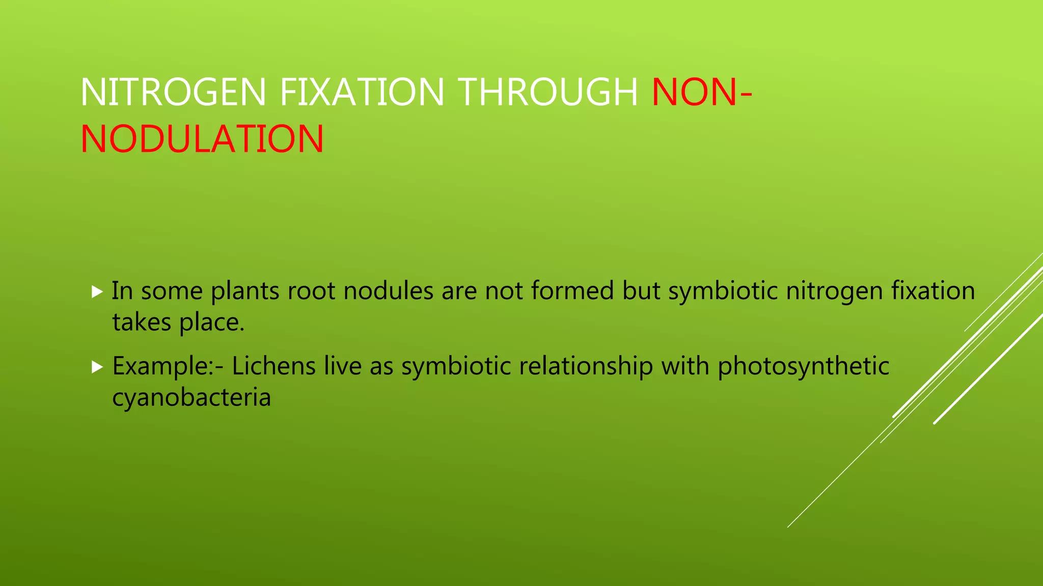 Nitrogen fixation | PPTX