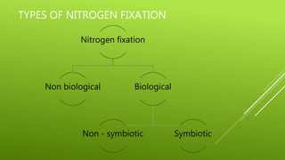 TYPES OF NITROGEN FIXATION
Nitrogen fixation
Non biological Biological
Non - symbiotic Symbiotic
 
