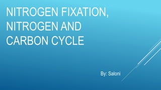 NITROGEN FIXATION,
NITROGEN AND
CARBON CYCLE
By: Saloni
 