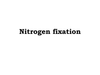 Nitrogen fixation
 