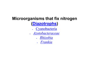 Biological Nitrogen fixation In legumes pptx | PPTX