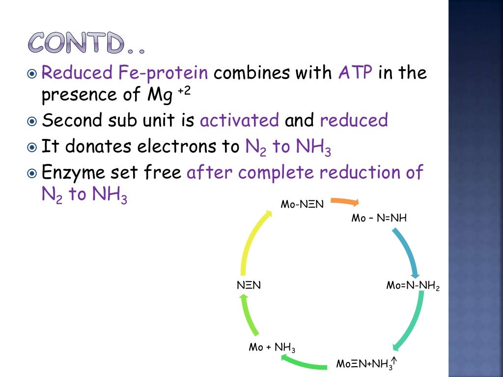 what do u mean by nitrogen fixation