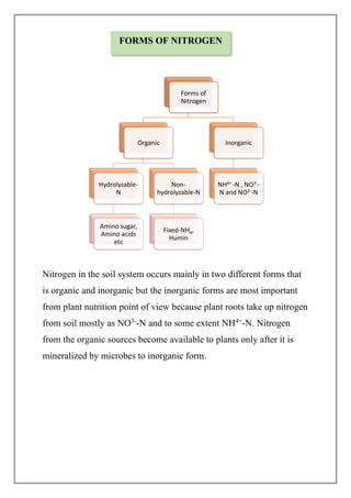 Nitrogen fixation assignment | PDF