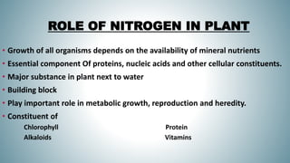 nitrogen fixation by Pranzly.ppt