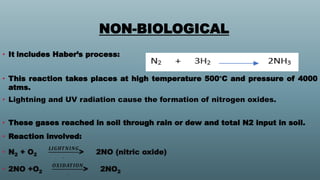 nitrogen fixation by Pranzly.ppt