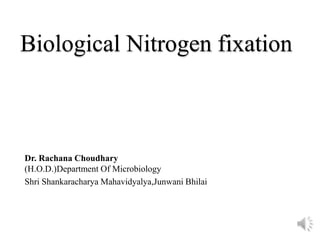 Biological Nitrogen fixation
Dr. Rachana Choudhary
(H.O.D.)Department Of Microbiology
Shri Shankaracharya Mahavidyalya,Junwani Bhilai
 