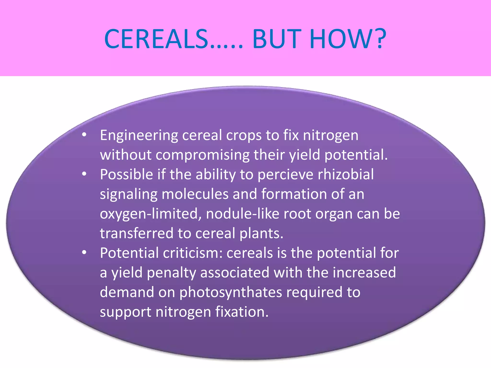 Nitrogen fixation in legumes and cereal crops | PPTX