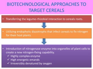 Nitrogen fixation in legumes and cereal crops | PPTX