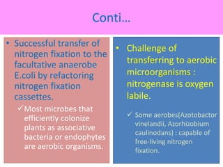 Nitrogen fixation in legumes and cereal crops | PPTX