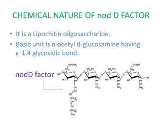 Nodulation Factor NITROGEN FIXATION IN PLANTS.pptx