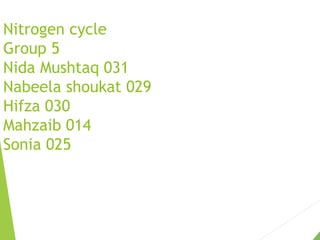 Nitrogen cycle
Group 5
Nida Mushtaq 031
Nabeela shoukat 029
Hifza 030
Mahzaib 014
Sonia 025
 