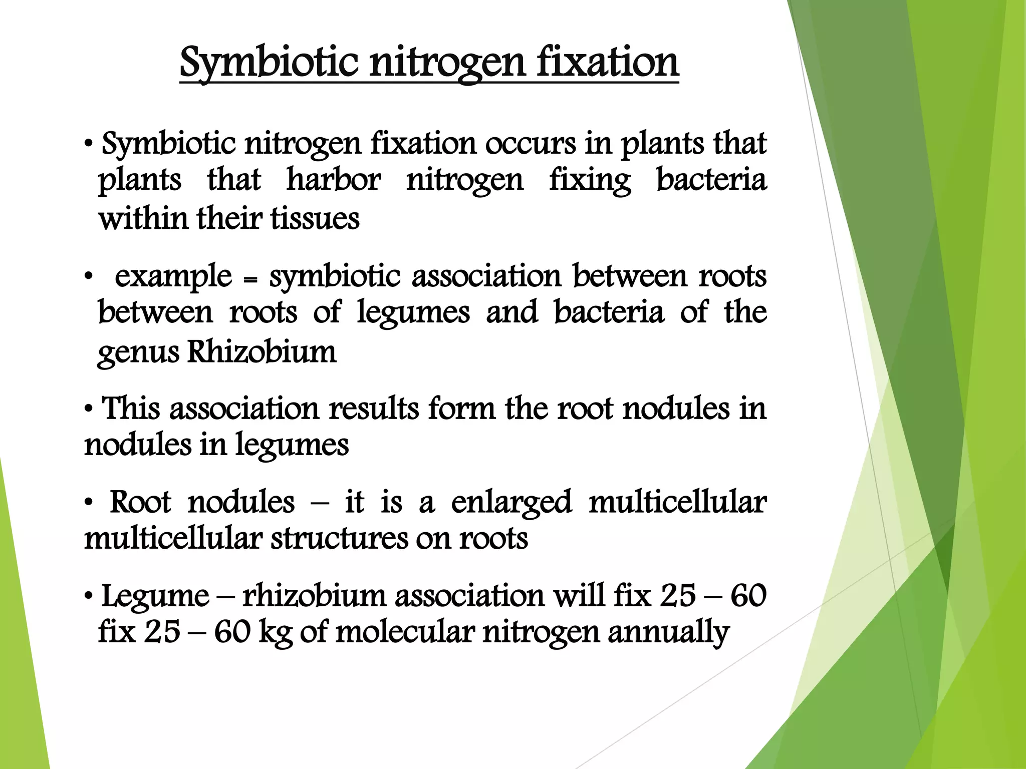 Nitrogen fixation in plants | PPTX