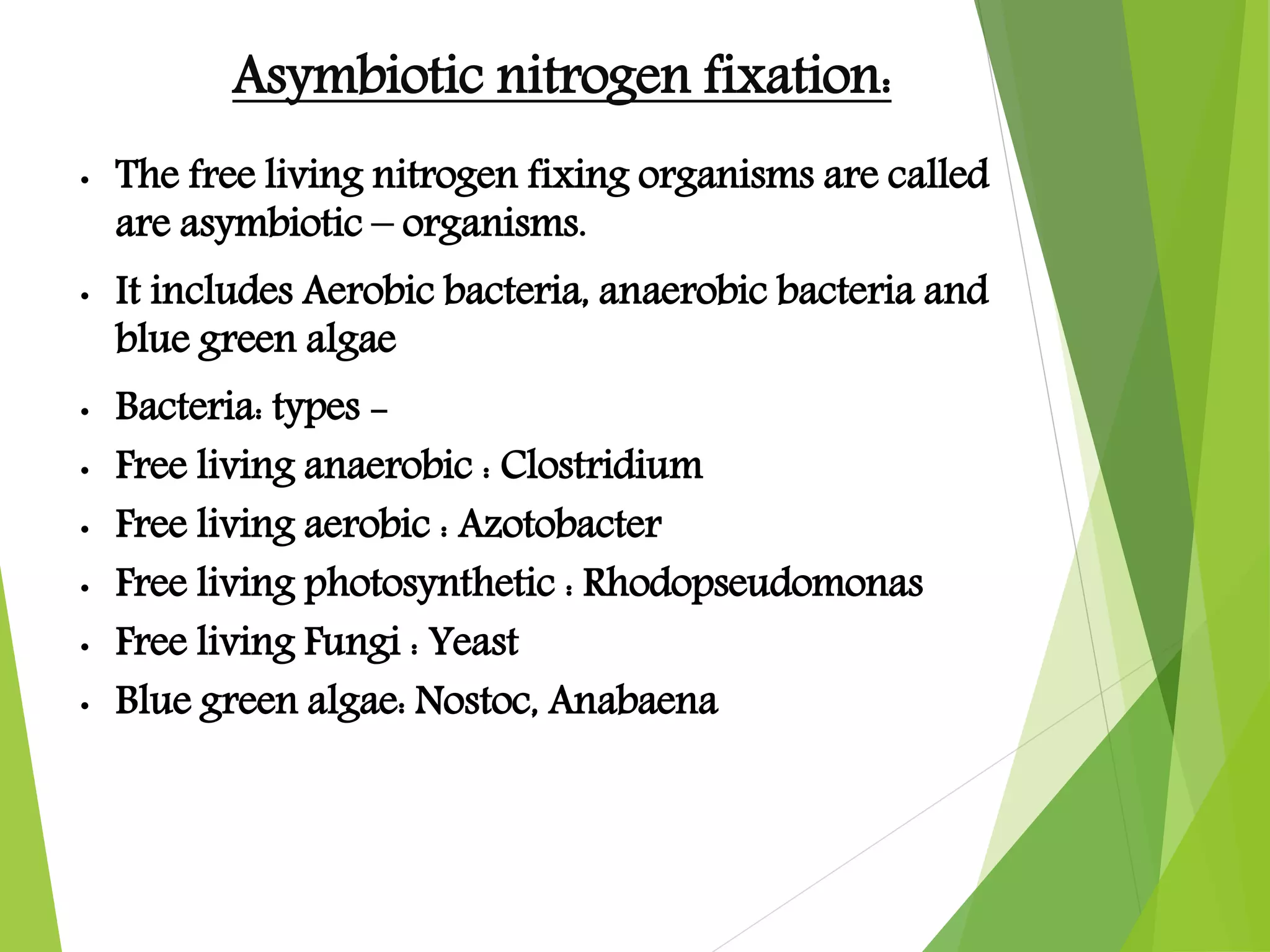 Nitrogen fixation in plants | PPTX