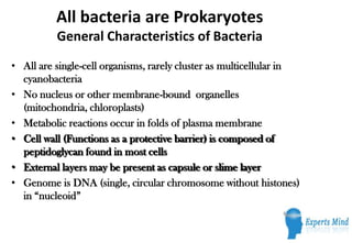 All bacteria are Prokaryotes
          General Characteristics of Bacteria
• All are single-cell organisms, rarely cluster as multicellular in
  cyanobacteria
• No nucleus or other membrane-bound organelles
  (mitochondria, chloroplasts)
• Metabolic reactions occur in folds of plasma membrane
• Cell wall (Functions as a protective barrier) is composed of
  peptidoglycan found in most cells
• External layers may be present as capsule or slime layer
• Genome is DNA (single, circular chromosome without histones)
  in “nucleoid”
 