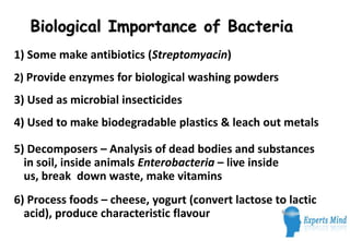 Biological Importance of Bacteria
1) Some make antibiotics (Streptomyacin)
2) Provide enzymes for biological washing powders
3) Used as microbial insecticides
4) Used to make biodegradable plastics & leach out metals

5) Decomposers – Analysis of dead bodies and substances
  in soil, inside animals Enterobacteria – live inside
  us, break down waste, make vitamins
6) Process foods – cheese, yogurt (convert lactose to lactic
  acid), produce characteristic flavour
 