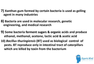 7) Xanthan gum formed by certain bacteria is used as gelling
 agent in many industries

8) Bacteria are used in molecular research, genetic
 engineering, and medical research

9) Some bacteria ferment sugars & organic acids and produce
  ethanol, methanol, acetone, lactic acid & acetic acid
10) Bacillus thuringiensis (BT) used as biological control of
  pests. BT reproduce only in intestinal tract of caterpillars
  which are killed by toxin from the bacterium
 