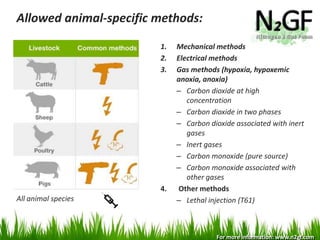 Nitrogen generation: important new animal welfare application