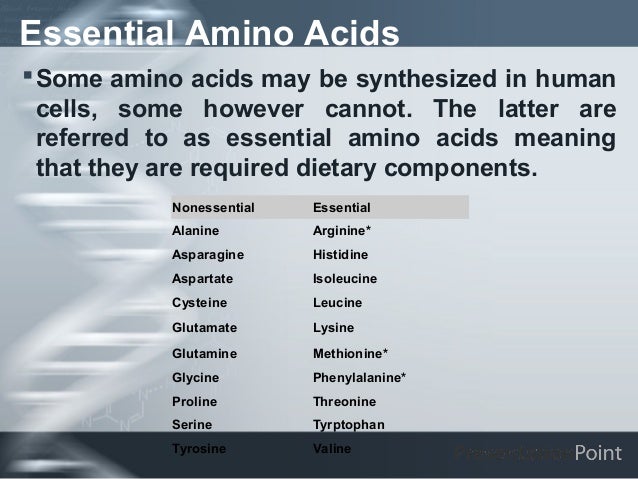 Essential Amino Acidsï‚§ Some amino acids may be synthesized in human  cells, some however cannot. The latter are  referred ...