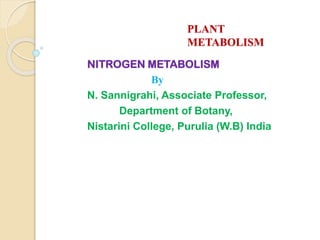 PLANT
METABOLISM
NITROGEN METABOLISM
By
N. Sannigrahi, Associate Professor,
Department of Botany,
Nistarini College, Purulia (W.B) India
 