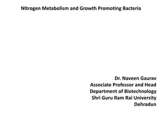 NItrogen Metabolism and Growth Promoting Bacteria
Dr. Naveen Gaurav
Associate Professor and Head
Department of Biotechnology
Shri Guru Ram Rai University
Dehradun
 