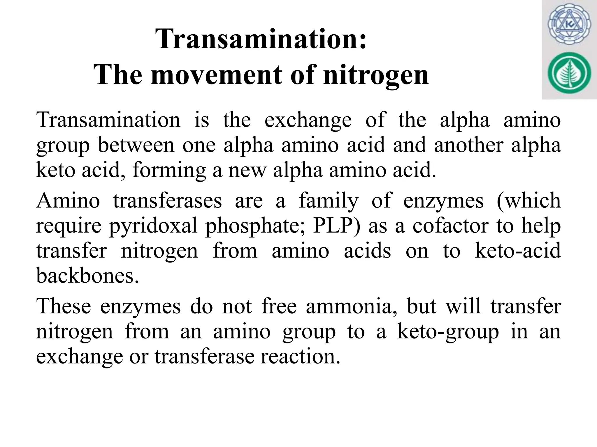 Fresh Look at Nitrogen Metabolism And The Urea Cycle Pptx