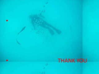 •




•   THANK YOU
 