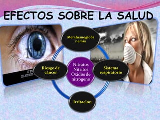 EFECTOS SOBRE LA SALUD
Nitratos
Nitritos
Óxidos de
nitrógeno
Metahemoglobi
nemia
Sistema
respiratorio
Irritación
Riesgo de
cáncer
 