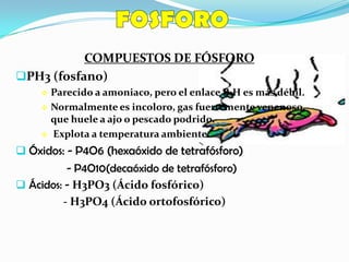 COMPUESTOS DE FÓSFORO
PH3 (fosfano)
 Parecido a amoniaco, pero el enlace P‐H es más débil.
 Normalmente es incoloro, gas fuertemente venenoso,
que huele a ajo o pescado podrido.
 Explota a temperatura ambiente.
 Óxidos: - P4O6 (hexaóxido de tetrafósforo)
- P4O10(decaóxido de tetrafósforo)
 Ácidos: - H3PO3 (Ácido fosfórico)
- H3PO4 (Ácido ortofosfórico)
 