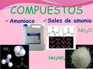 COMPUESTOS
Amoniaco Sales de amonio
NO3
NH4NO3
NH4Cl
 