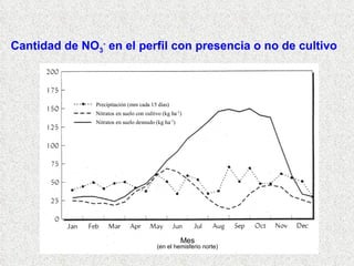 Cantidad de NO 3 -  en el perfil con presencia o no de cultivo (en el hemisferio norte) 