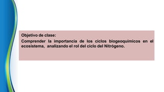 Objetivo de clase:
Comprender la importancia de los ciclos biogeoquímicos en el
ecosistema, analizando el rol del ciclo del Nitrógeno.
 